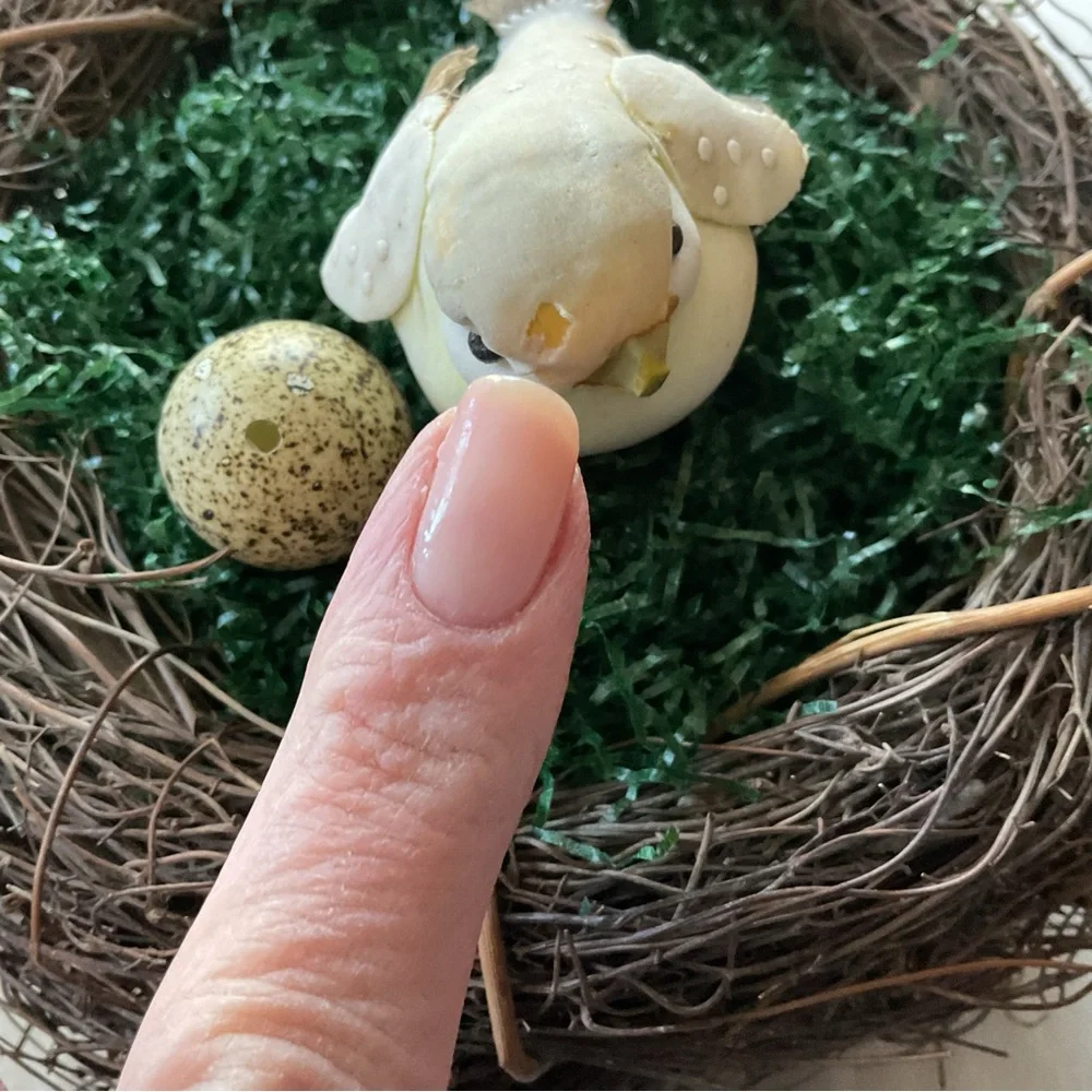 Decorative Birds Nest with 2 Birds and Egg! - Picture 8 of 8